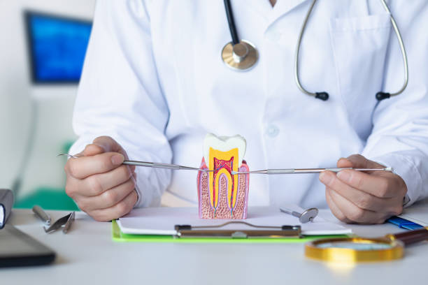 Best Emergency Root Canal Treatment in Belvedere Park, GA
